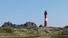 Sylt (136)